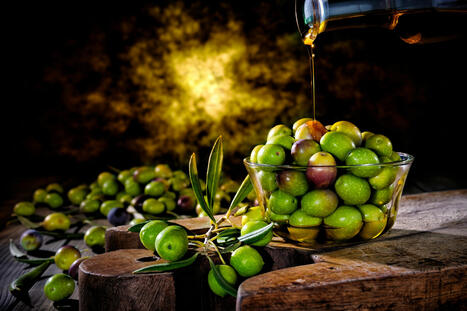 Radiografía del aceite de oliva en España | OLIVE NEWS | Scoop.it