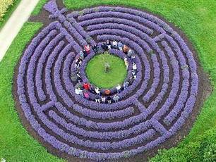 A Labyrinth in Germany | Gardening Life | Scoop.it