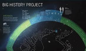 The Big History Project- Sign In | Doing History | Scoop.it