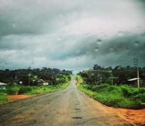 Latin America&rsquo;s forests &ndash; what lies ahead in 2013? | Timberland Investment | Scoop.it