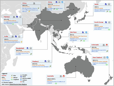 ASIA: Food security under climatic extremes  | ASIES | Scoop.it