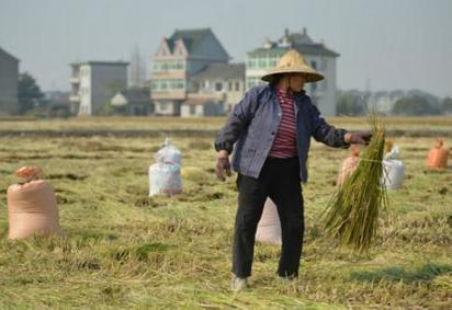 La Chine s'éloigne de l'autosuffisance alimentaire | Questions de développement ... | Scoop.it
