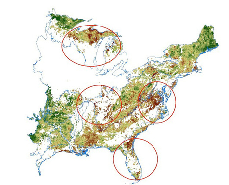 NASA Eyes Declining Vegetation in the Eastern United States from 2000 to 2010 | Télédétection veille IST INRAE & AgroParisTech | Scoop.it