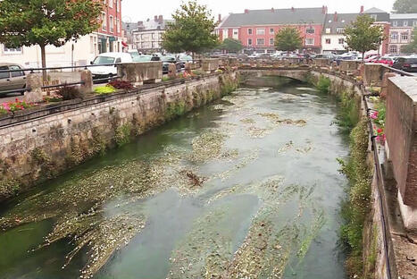Pollution au fioul de l'Epte en plein centre-ville de Gisors, des investigations en cours / le 16.07.2025 | Pollution accidentelle des eaux (+ d&eacute;chets plastiques) | Scoop.it