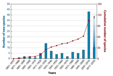 Annu Rev Phytopathol: Phytophthora Beyond Agriculture (2012) | Plants and Microbes | Scoop.it