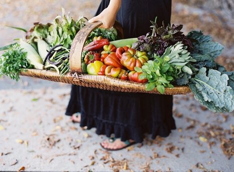 Not eating enough fiber may thin out your intestines - Tech Insider | The Health Report | Scoop.it