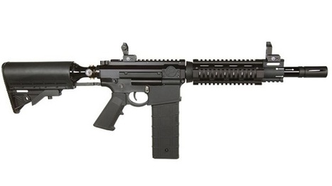 L'US Army investit 650.000 dollars pour se procurer des armes non l&eacute;tales tirant des cartouches... au piment | DEFENSE NEWS | Scoop.it
