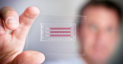 Credit Card-Sized Chip Diagnoses HIV and Provides T Cell Counts on the Spot | healthcare technology | Scoop.it