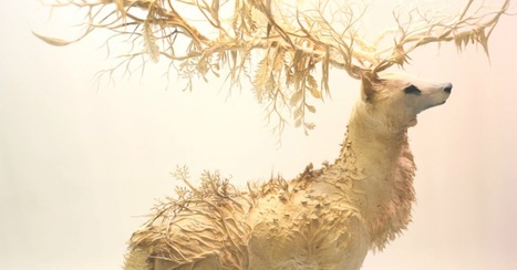 Artist Gorgeously Morphs Plants and Animals Into Dreamlike Sculptures | Creative_me | Scoop.it