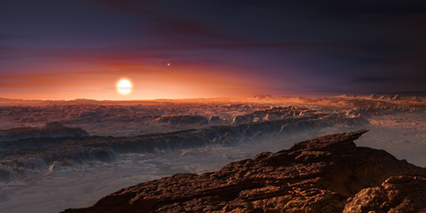 Une exoplanète "habitable" découverte autour de l'étoile la plus proche de nous | Beyond the cave wall | Scoop.it