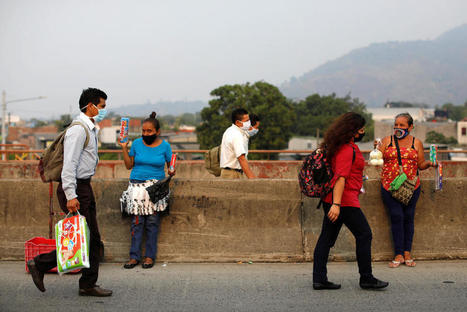 Covid-19 et dengue, une &ldquo;bombe &agrave; retardement&rdquo; en Am&eacute;rique latine | EntomoNews | Scoop.it