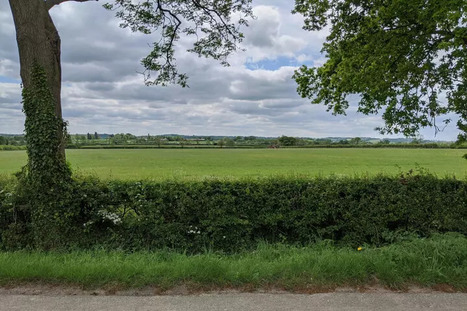 Le gouvernement coupe (déjà) court à la relance des haies | Les Colocs du jardin | Scoop.it