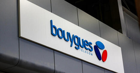 Loiret. Braconnage, port prohib&eacute; d&rsquo;armes, destruction d&rsquo;esp&egrave;ces : Olivier Bouygues face &agrave; la justice | Biodiversit&eacute; - @ZEHUB on Twitter | Scoop.it