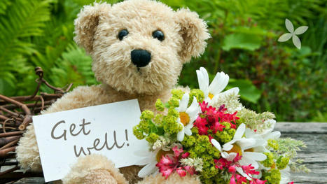 Get well cards & bouquet of flowers to show someone that you care | Same Day Flower Delivery in Dubai | Scoop.it