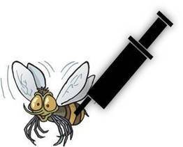 Les moustiques : bientôt du passé ? | EntomoScience | Scoop.it