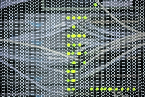 Kampf um die Domain-Kunden | Wordpress-Webdesign | Scoop.it