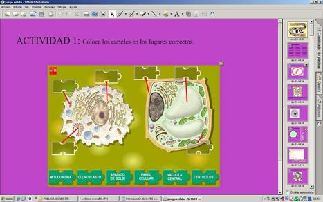 La pizarra digital interactiva (PDI) | Las TIC en el aula de ELE | Scoop.it