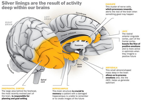 Where Optimism Lives - TIME | Science News | Scoop.it