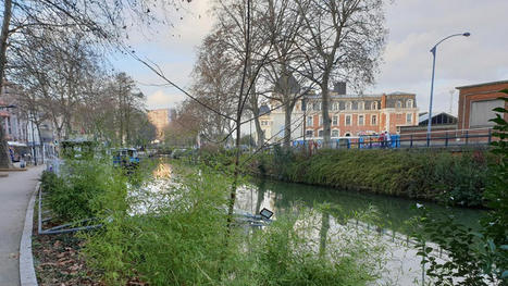Le tourisme fluvial sur le canal du Midi affronte la tempête du Covid-19 | Activités de Pleine Nature, tourisme vert en  Occitanie | Scoop.it