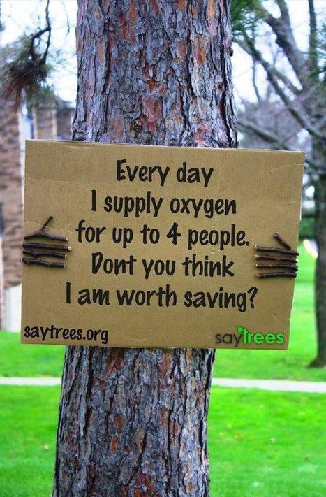 Image result for save the trees protest signs | Nevertheless, She Persisted | Pinterest | Protest signs, Earth and Planets | Eco-Friendly Lifestyle | Scoop.it