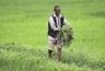 Le géant Monsanto à l'assaut du Népal | Questions de développement ... | Scoop.it