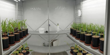 GreenHouseKeeper, un syst&egrave;me pour contr&ocirc;ler l&rsquo;environnement climatique des plantes - Les Horizons | Pour innover en agriculture | Scoop.it