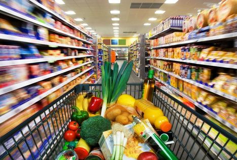 Dutch agriculture exports surged to record highs last year | LE GRAND NORD | Scoop.it