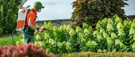 Victimes de pesticides : une indemnisation est possible | Toxique, soyons vigilant ! | Scoop.it