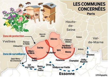 La loque américaine menace les ruches de l’Essonne | EntomoNews | Scoop.it