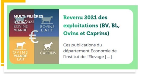 Observatoire de l'endettement et des trésoreries des élevages bovins lait - hiver 2021 | Lait de Normandie... et d'ailleurs | Scoop.it