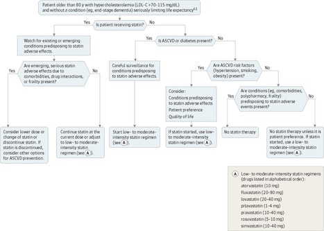 Older Patients With Hypercholesterolemia | Comprehensive Geriatric Assessment | Scoop.it
