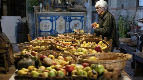 PHOTOS. La "détective des fruits oubliés" : cette Italienne sauve les variétés anciennes pour faire face au changement climatique | Découvrir, se former et faire | Scoop.it