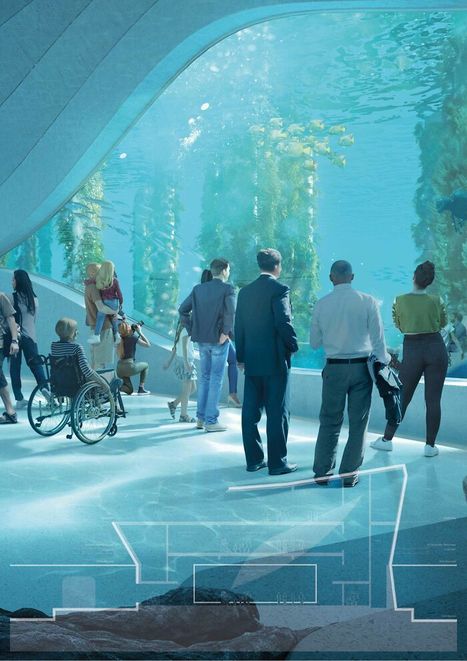 A Whale Shaped Aquarium in Australia – | les expositions et musées | Scoop.it