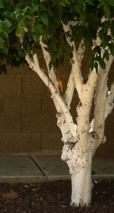 Can You Learn Creativity? 1. Express empathy. | Empathy in the Arts | Scoop.it