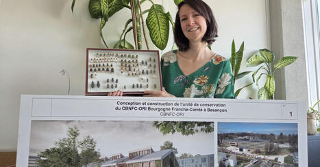 Bourgogne-Franche-Comt&eacute;. L&rsquo;&eacute;closion du nouveau Conservatoire botanique r&eacute;gional | Revue de presse | L'habitat & son environnement dans le Doubs : Architecture. Urbanisme. Environnement. Paysage. Logement | Scoop.it