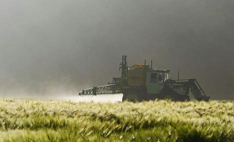 En finir avec le glyphosate en Europe… enfin ! Les autorisations européennes quinquennales de mise sur le marché arrivent à expiration en 2022 | Variétés entomologiques | Scoop.it