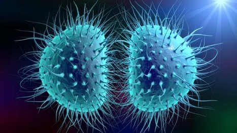Prise en charge du d&eacute;pistage Gonorrh&eacute;e/Chlamydiae sur 3 sites | sida | Scoop.it