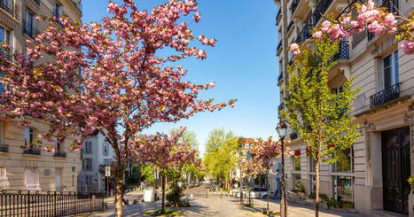 Le DPE, outil insuffisant pour diagnostiquer la vuln&eacute;rabilit&eacute; des b&acirc;timents &agrave; la chaleur | Regards crois&eacute;s sur la transition &eacute;cologique | Scoop.it