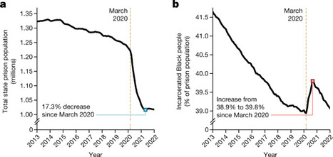 COVID-19 amplified racial disparities in the US criminal legal system | Papers | Scoop.it