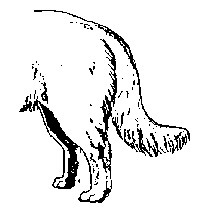 H&auml;nt&auml; | 1Uutiset - Lukemisen t&auml;hden | Scoop.it