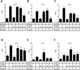 The TIR-Domain Containing Adaptor TRAM Is Required for TLR7 Mediated RANTES Production | Mucosal Immunity | Scoop.it