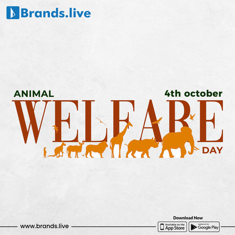 World Animal Day: What You Can Do To Make The World Better For Animals | Brands.live | Scoop.it
