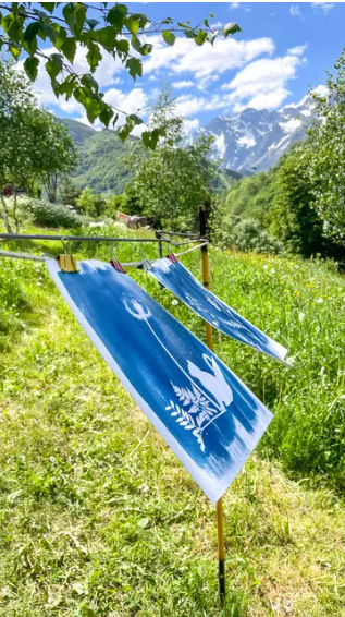 Mois du Patrimoine 2026 en vall&eacute;es d'Aure et du Louron : Atelier d&eacute;couverte de la Cyanographie le 6 septembre &agrave; Aragnouet | Vall&eacute;es d'Aure & Louron - Pyr&eacute;n&eacute;es | Scoop.it