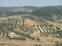 UNDP | Drylands Development Centre | Land Reform, Agriculture, Rural Development | Scoop.it
