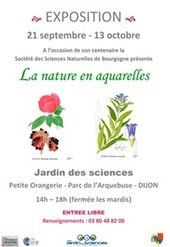 La nature en aquarelles | R&eacute;seau Patrimoine du Vivant et Ecologie par Mus&eacute;e du Vivant - AgroParisTech | Scoop.it