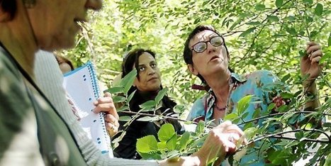Hérault : visite à l’école des plantes de Candillargues | La Cabane aux Arômes | Scoop.it