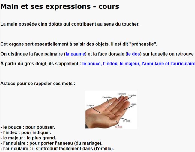 Main et ses expressions | POURQUOI PAS... EN FRANÇAIS ? | Scoop.it