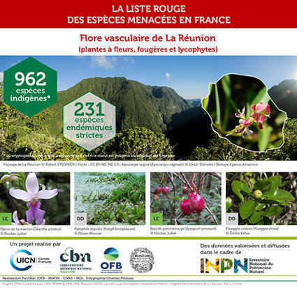 Alerte rouge pour la flore vasculaire de La Réunion - INPN | Biodiversité | Scoop.it