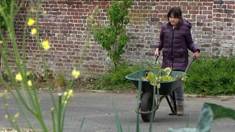 Roubaix : une future ferme urbaine circulaire sur une friche industrielle - France 3 Hauts-de-France | Reconversion de friches | Scoop.it