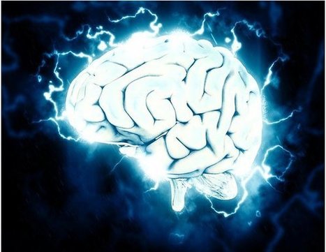 cerveau | Réalités Biomédicales | Médecine  Cerveau Intelligence | Scoop.it